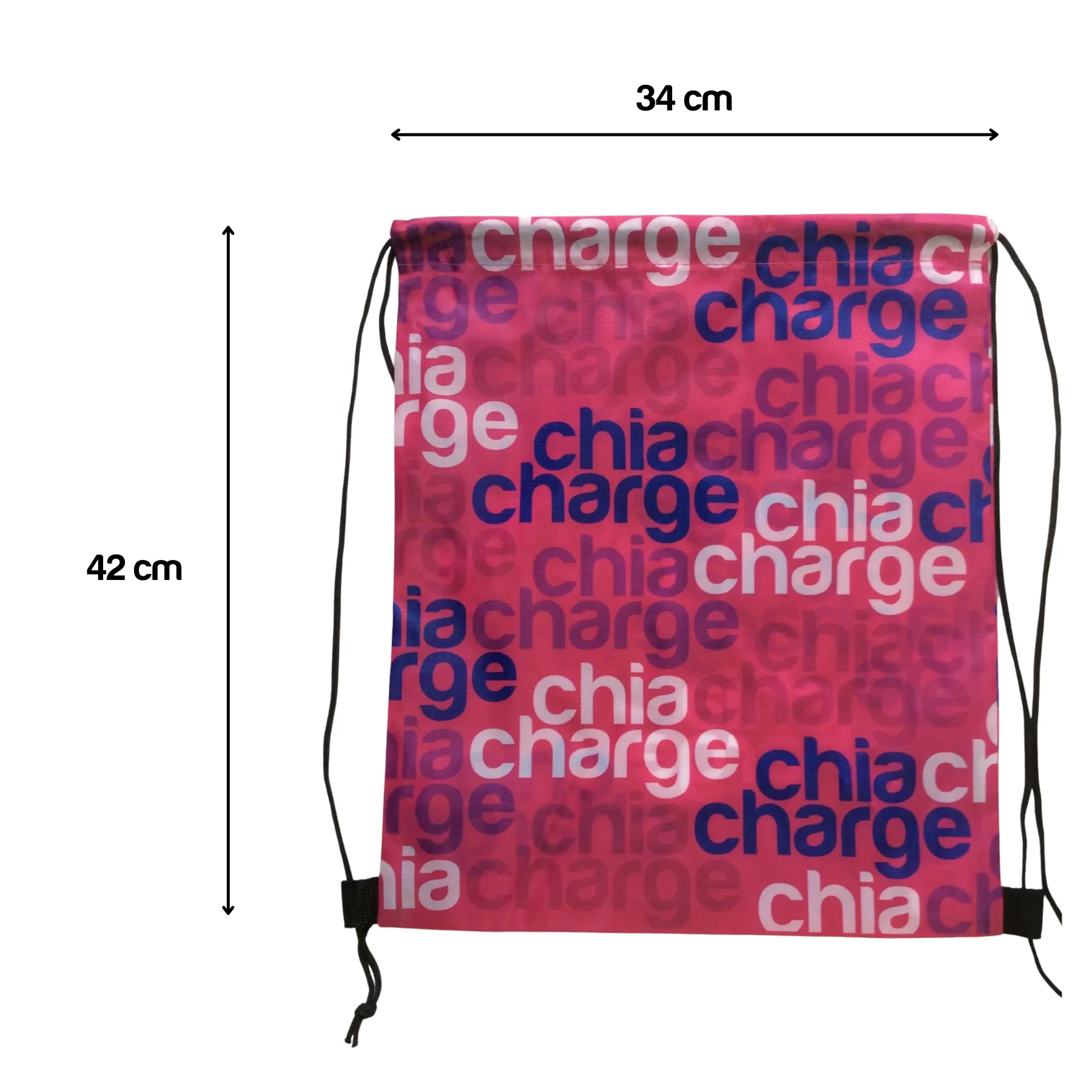 Chia Charge Kit Bag