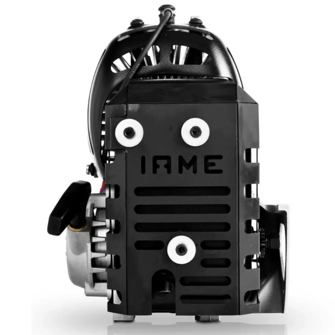 IAME M1 Bambino Engine (60cc)