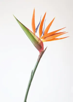 Large Indoor/Outdoor Artificial Bird of Paradise Spray - 36"