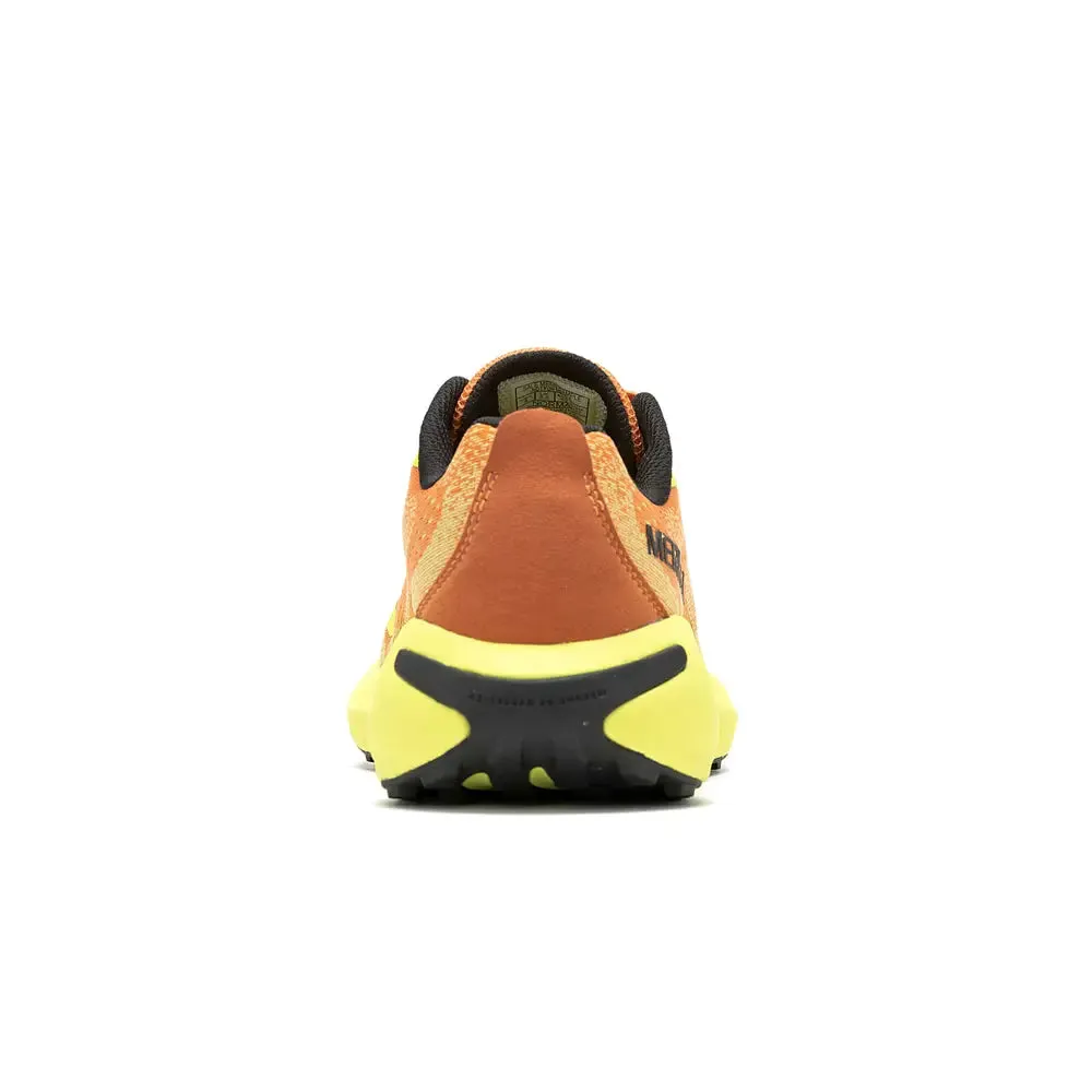 Morphlite Melon/Hiviz