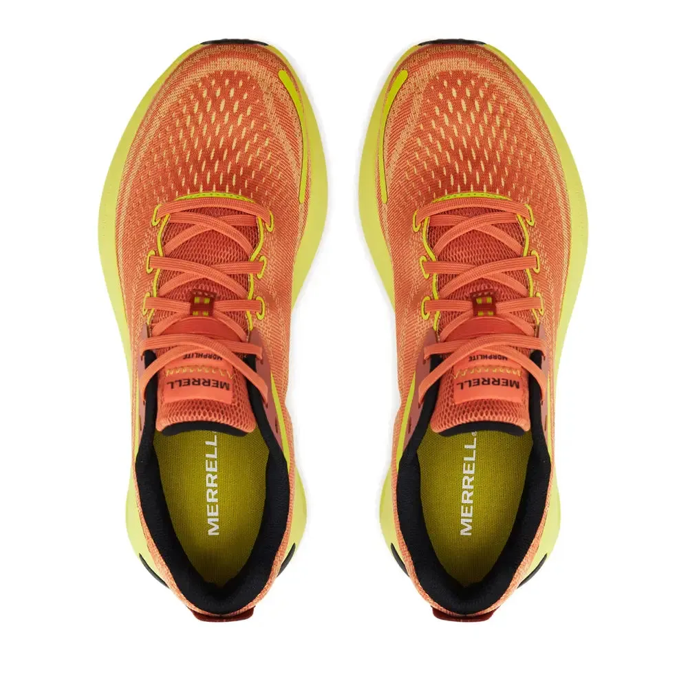 Morphlite Melon/Hiviz