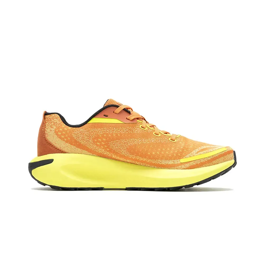 Morphlite Melon/Hiviz