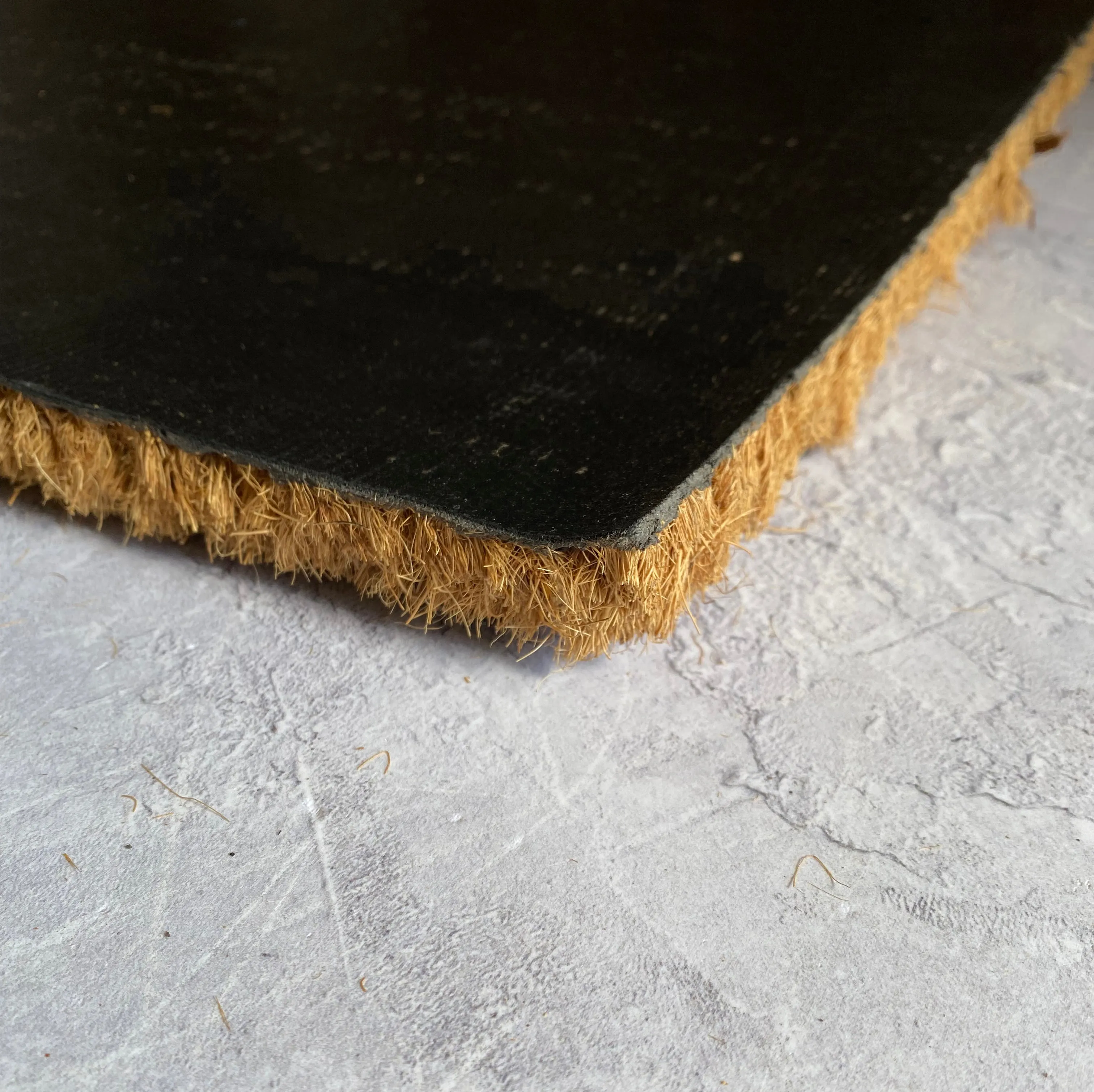 Wipe Your Paws Indoor & Outdoor Coir Doormat